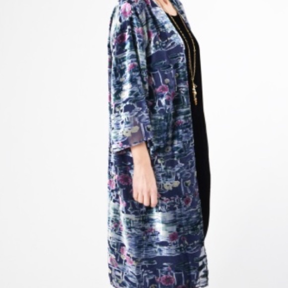 Anthropologie and Aris A Silk Velvet Kimono - - OS - Picture 6 of 15